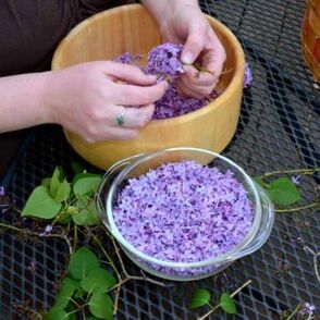 Folk therapy for pain in finger joints